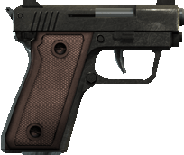 Compact Pistol