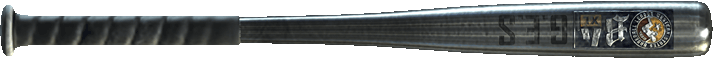 Baseball Bat